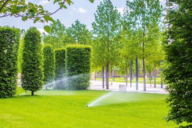 Arroseurs automatiques pour arroser l'herbe. la pelouse est arrosée en été. pratique pour la maison. légumes verts frais