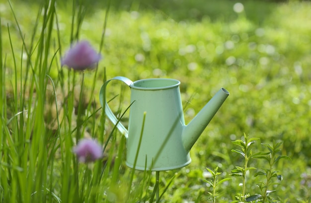 Arrosoir décoratif dans le jardin