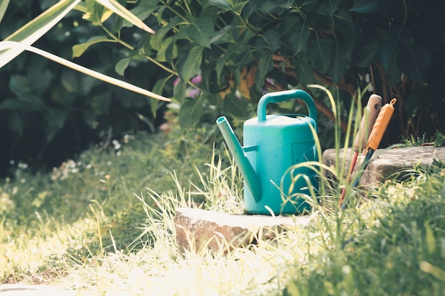 Arrosoir sur le jardin, arrosage du jardin au coucher du soleil