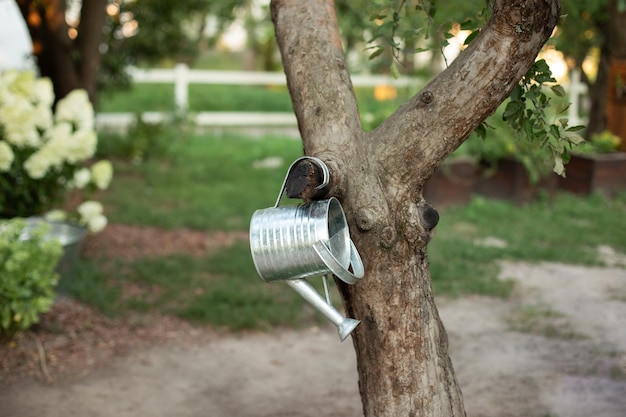 Arrosoir en métal galvanisé sur arbre. Concept de jardinage et passe-temps.