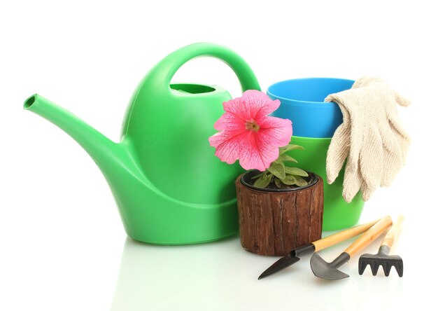 Arrosoir outils et plante en pot isolé sur blanc