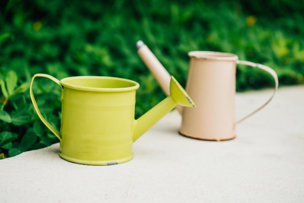 Arrosoirs colorés pour plantes de jardin