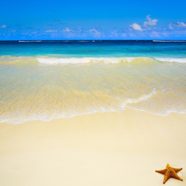 Photo art belle plage de mer tropicale intacte