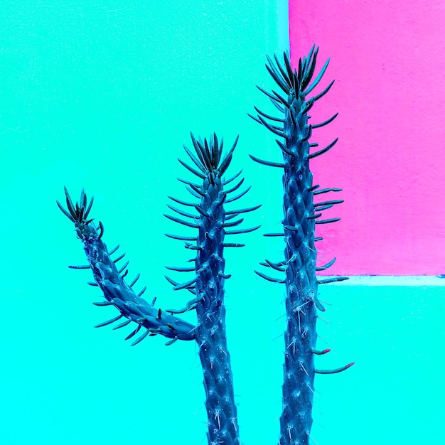 Art de cactus au néon. Conception minimale. Amoureux des cactus