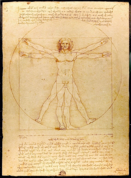 Photo art da vinci et dessin de l'anatomie de l'homme pour la renaissance science et biologie peinture vitruvien symbole de l'histoire de l'art et design d'artiste célèbre sur parchemin toile vintage et illustration