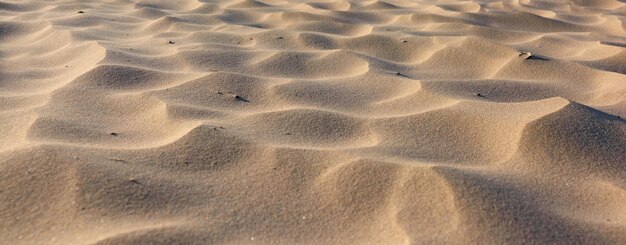 Art du sable Art du sable naturel à la plage