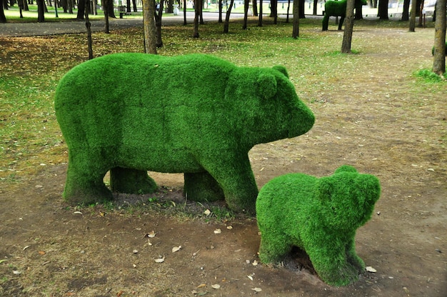 Art topiaire. Figures de deux ours. Sculptures des buissons dans le parc de la ville. 02 août 2021, Smolensk, Russie.