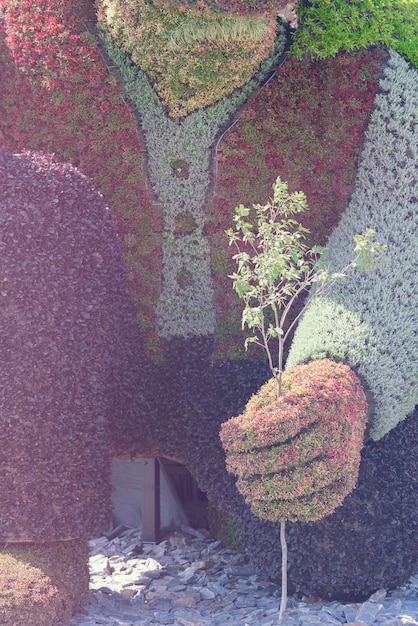 Photo art topiaire grand homme avec la branche à la main fabriqué à partir de plantes multicolores