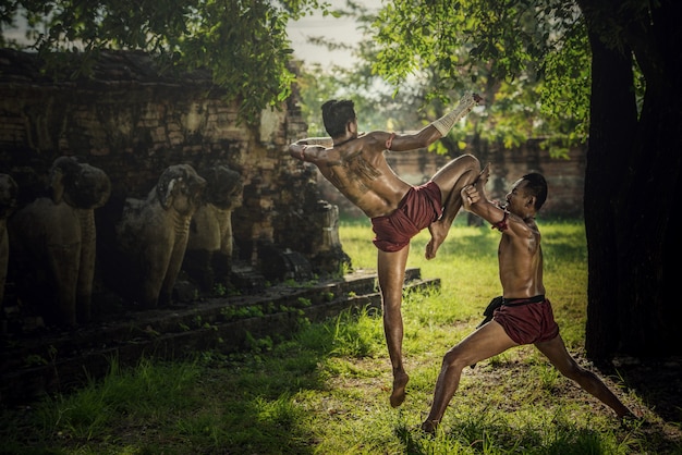 Arts martiaux de Muay Thai, boxe thaï au parc historique d'Ayutthaya à Ayutthaya, Thaïlande