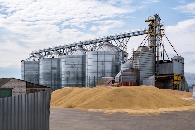 Ascenseur de grenier moderne Silos d'argent sur l'agro-industrie et l'usine de fabrication pour le traitement, le séchage, le nettoyage et le stockage des céréales et des grains de farine de produits agricoles