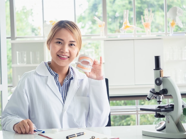 Asiatique femme dentiste montrant sur un modèle de mâchoire comment nettoyer les dents avec une brosse à dents