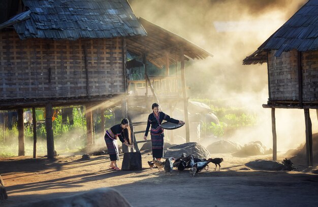 Asiatiques nourrir des poulets à la campagne du Laos