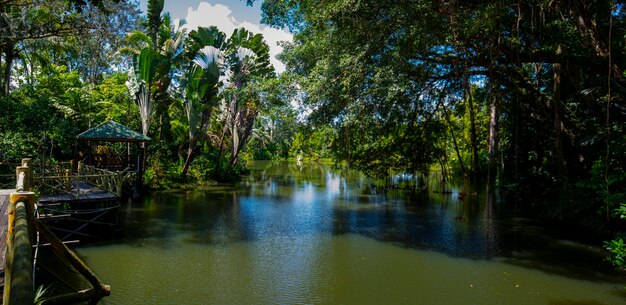 Asie du sud-est, attractions touristiques, Malaisie, Bornéo, Sabah, Sandakan, rivières intérieures