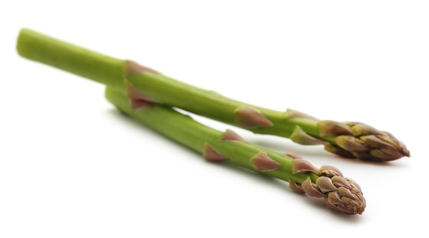 Asperges fraîches sur fond blanc