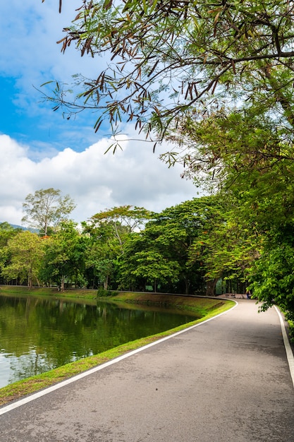 Photo asphalte noir gris route paysage vue sur le lac à l'université ang kaew de chiang mai dans la forêt de la nature vue sur la montagne printemps ciel bleu avec des nuages blancs.