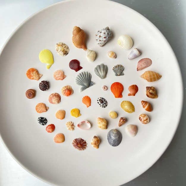 Une assiette de coquillages sur une table avec un fond blanc.