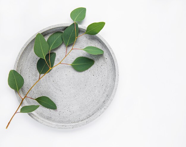 Assiette à l'eucalyptus