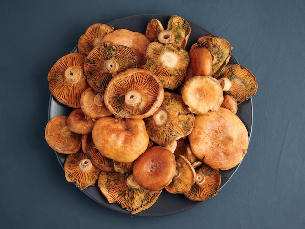 Assiette de rovellons ou niscalos, champignons d'automne typiques