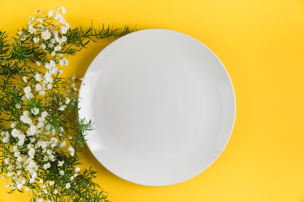 Photo assiette vide blanche près des fleurs de gypsophile sur fond jaune