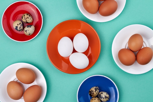 Assiettes colorées avec des œufs de poulet et de caille. Isolé sur fond turquoise.