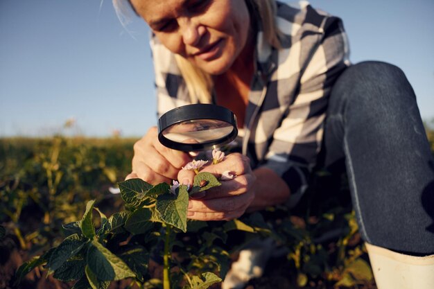 Photo assis à la recherche et à l'aide d'une loupe la femme est sur le terrain agricole pendant la journée