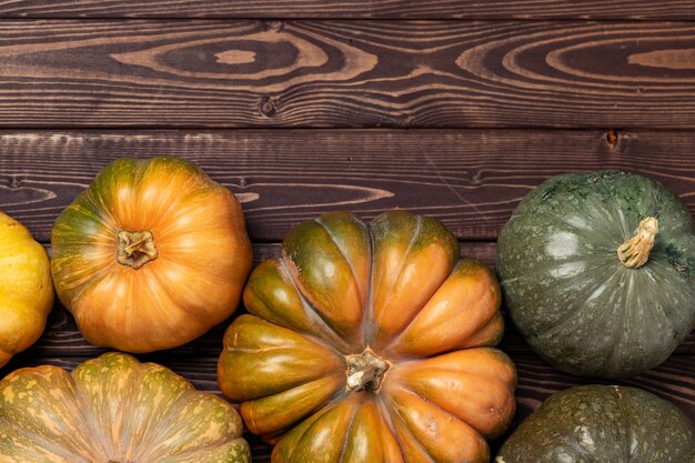 Assortiment de différentes citrouilles colorées