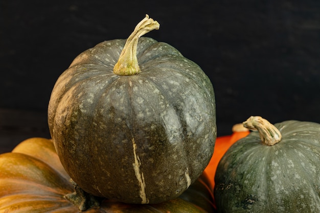 Assortiment de différentes citrouilles sur fond de bois foncé