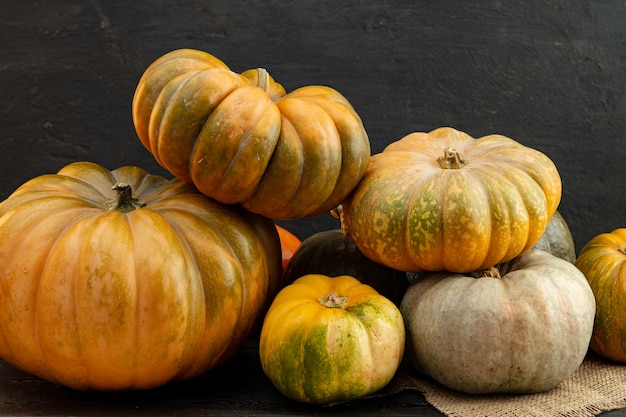 Assortiment de différentes citrouilles