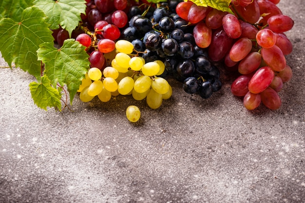 Assortiment de différents types de raisins