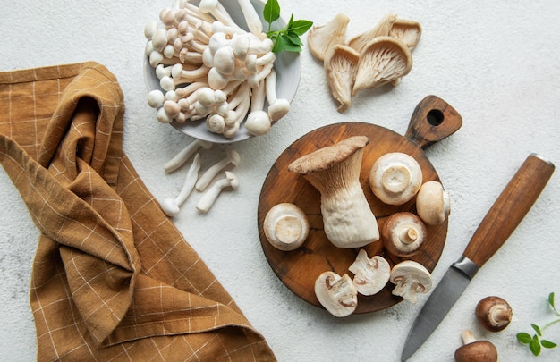 Assortiment de divers champignons
