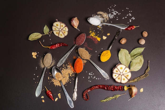 Assortiment d'épices en cuillères, herbes sèches et légumes