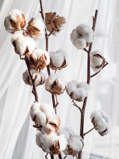 Assortiment de fleurs en coton et rideau blanc