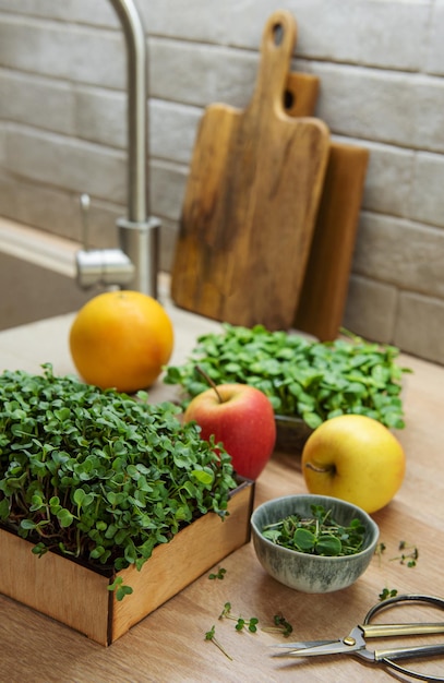 Assortiment de micro-verts sur table en bois