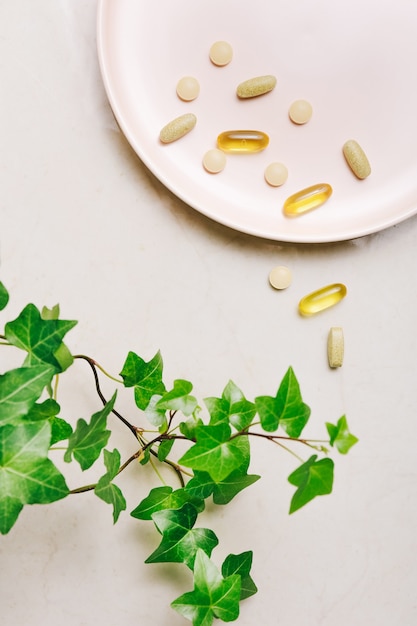 Assortiment De Pilules, Comprimés Et Gélules De Médecine Pharmaceutique Avec Plante Verte Sur Une Table