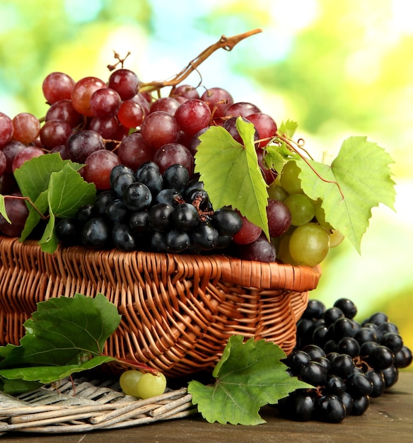 Assortiment de raisins doux mûrs dans le panier sur fond vert