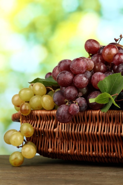 Assortiment de raisins doux mûrs dans le panier sur fond vert