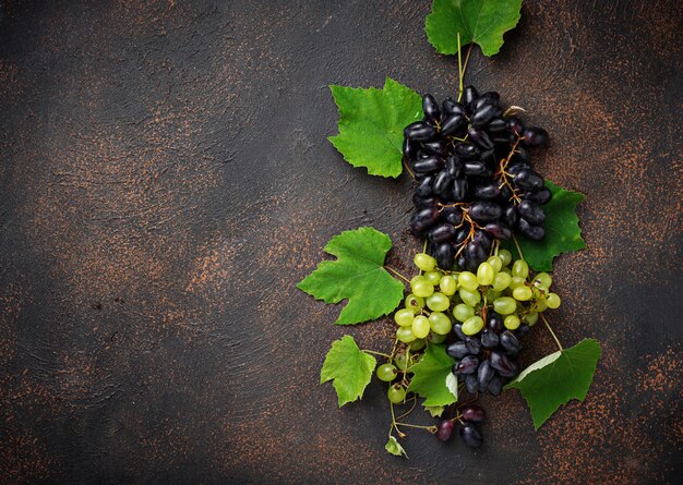 Assortiment de raisins avec des feuilles