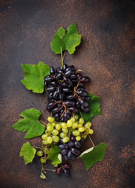 Assortiment de raisins avec des feuilles