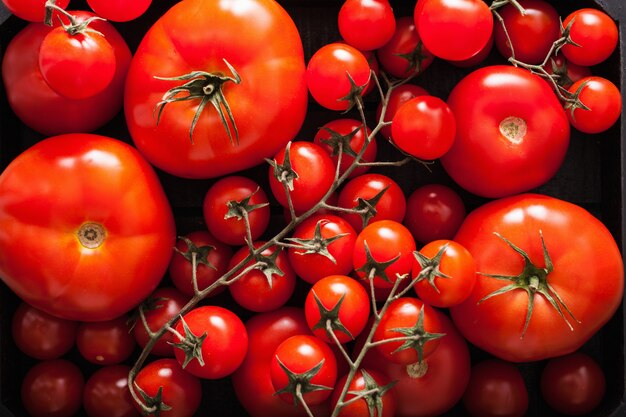 Assortiment de tomates dans une boîte en bois