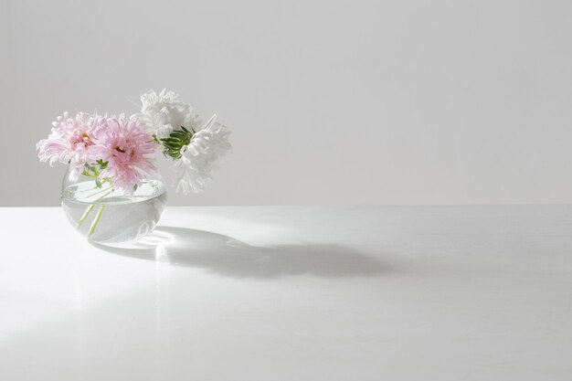 Asters dans un vase en verre rond sur fond blanc