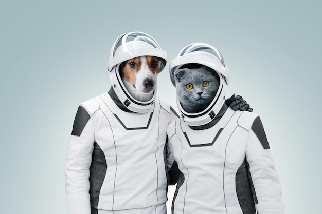 Photo astronaute drôle de chien et de chat dans des combinaisons spatiales câlin et debout sur un fond clair deux amis de compagnie chat et chien aventurent ensemble dans l'espace animaux de la mission spatiale