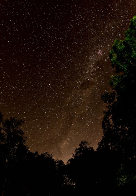 Astrophotographie de nuit. Photo d'étoiles et de lactea en plein champ.