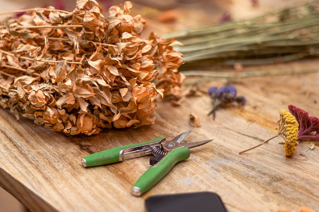 Atelier Lettrage Fleuri Fleurs stabilisées au sécateur