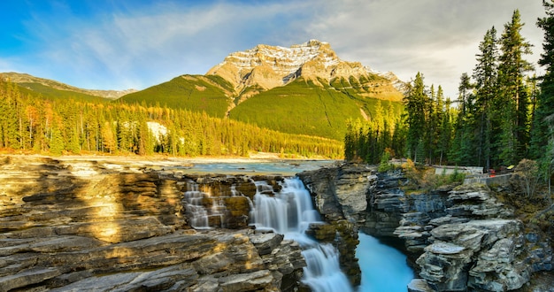 Athabasca Falls en automne, Parc national Jasper, Alberta, Canada