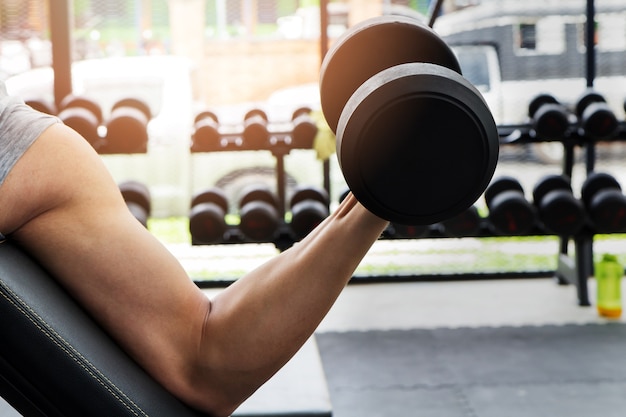 Athlète homme de formation dans le gymnase. Homme, levage, haltère, -, haltère, biceps, curl