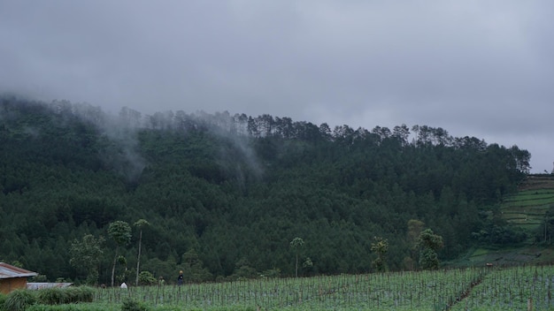 Photo l'atmosphère mystique