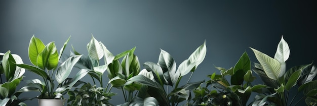Atmosphère naturelle avec des plantes et des feuilles décoratives générées par l'IA
