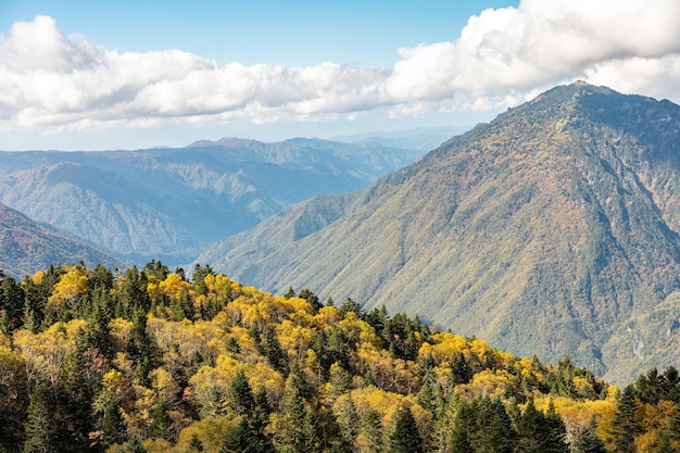 Photo l'atmosphère de la principale attraction touristique shin hotaka dans les couleurs d'automne avec un téléphérique et un téléphérique au service des touristes japon alpes shinhotaka ropeway et feuillage d'automne