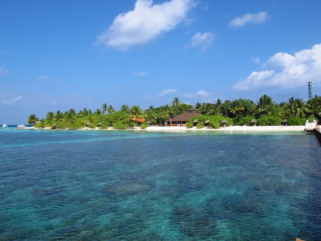 Atoll d'Ari Nord La plage sur l'océan Indien des Maldives
