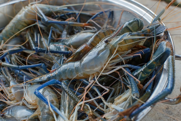 En attente de cuisson des crevettes